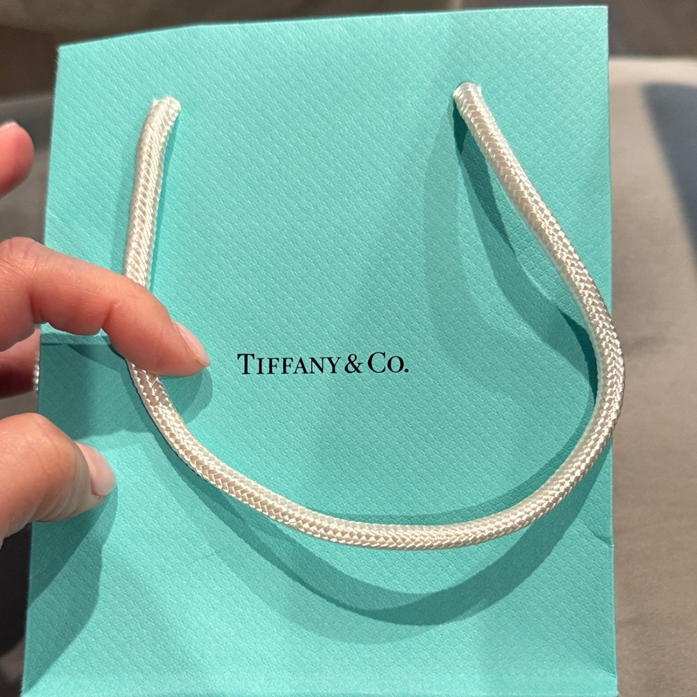 Tiffany & Co. Turquoise Bag with White Handles